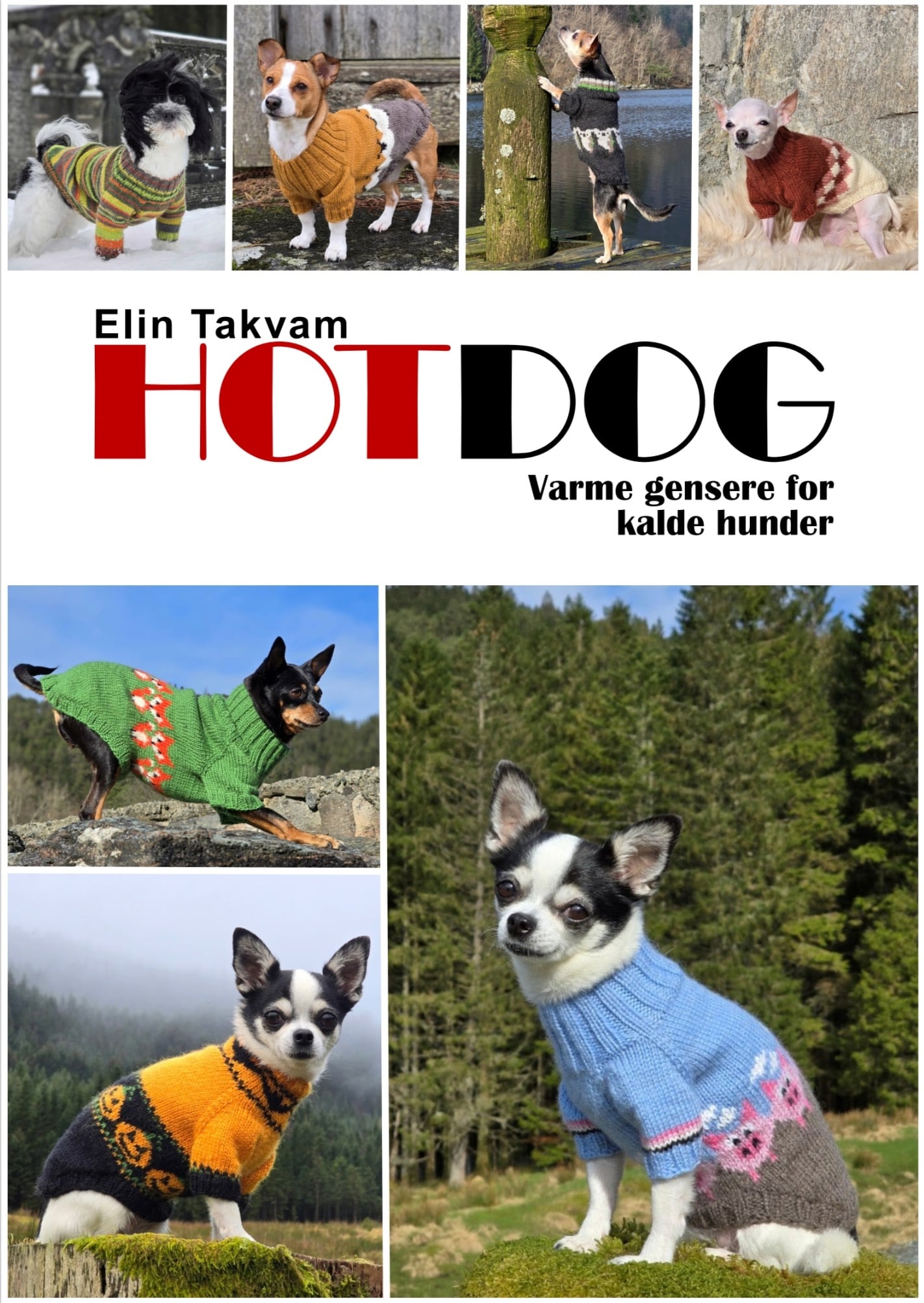 Forsiden på HOTDOG Hundestrikk